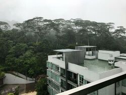 The Raintree (D21), Condominium #531072401